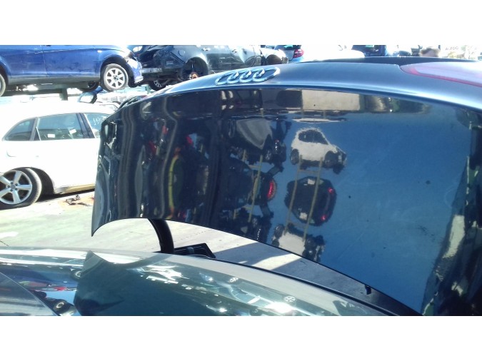 PORTON TRASERO AUDI A5 2008