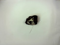 CERRADURA PUERTA DELANTERA DERECHA BMW 118D 2004