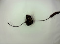 CERRADURA PUERTA TRASERA DERECHA RENAULT MÉGANE 2011