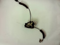 CERRADURA PUERTA TRASERA DERECHA RENAULT LAGUNA 2007
