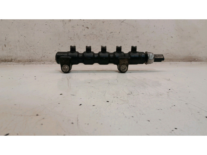 RAMPA INYECCION CITROEN C4 2006