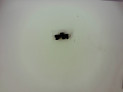 MANDO ELEVALUNAS DELANTERO IZQUIERDO AUDI A4 2004