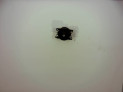 FARO ANTINIEBLA DELANTERO  FORD FOCUS 2008