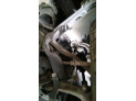 MANGUETA TRASERA IZQUIERDA BMW 730D 2011