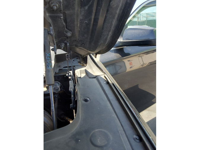 BISAGRA CAPOT BMW 730D 2011