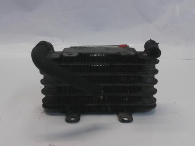 RADIADOR REFRIG COMBUSTIBLE SO BMW SERIE 3 2005