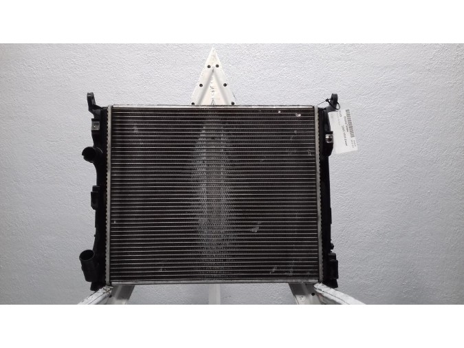 Radiador de Agua RENAULT CLIO 2005
