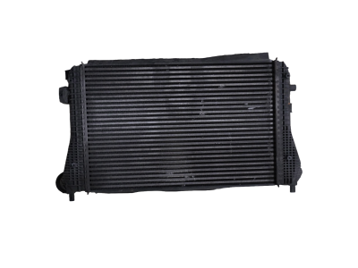Intercooler VOLKSWAGEN PASSAT 2007