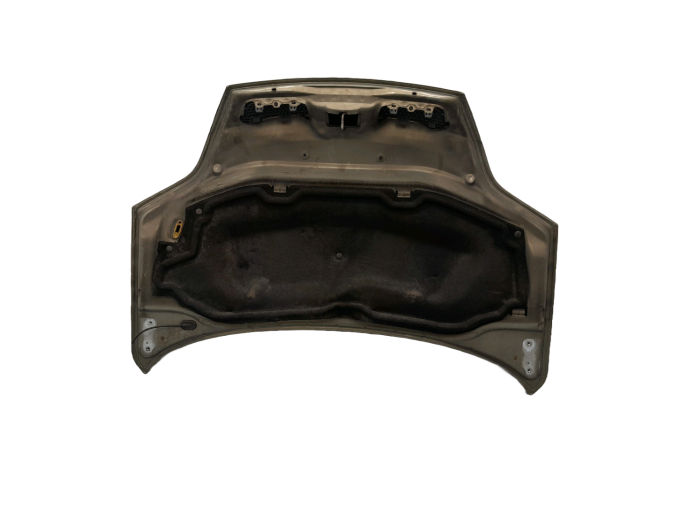 CAPOT RENAULT SCENIC VERDE 2002