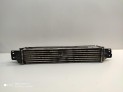 Intercooler VOLKSWAGEN POLO 2007