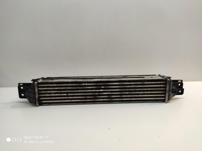Intercooler VOLKSWAGEN POLO 2007