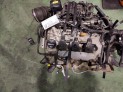 MOTOR SO OPEL VIVA 2017