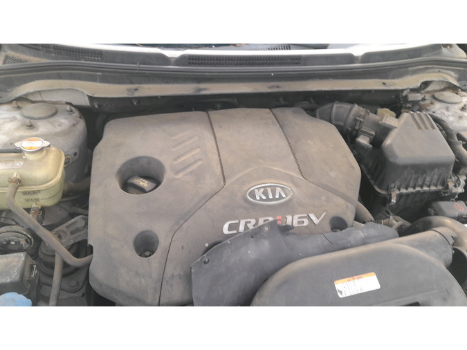 REJILLA PARAGOLPES DELANTERO KIA CEED 2008