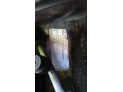 FARO ANTINIEBLA DELANTERO DERECHO AUDI A4 2002