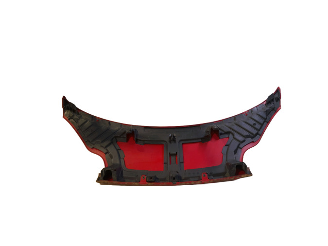 CAPO DELANTERO SMART FORTWO / SMARTCARROJO