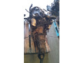 Motor aligerado AUDI A6 2000