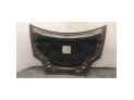 CAPOT FIAT BRAVO GRIS 2008