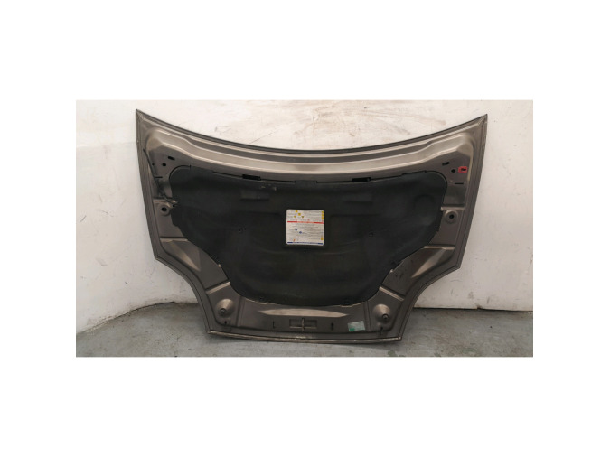 CAPOT FIAT BRAVO GRIS 2008