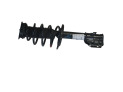 AMORTIGUADOR DELANTERO IZQUIERDO CITROEN C4 2024