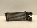 Intercooler CITROEN XSARA PICASSO 2004