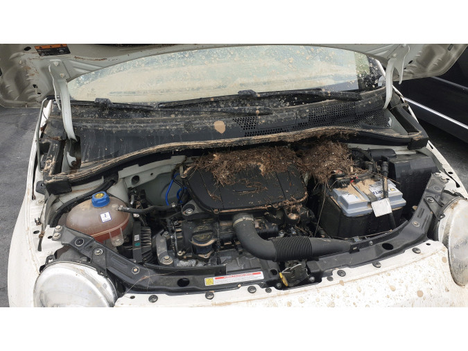 FARO ANTINIEBLA TRASERO IZQUIERDO FIAT 500 2020