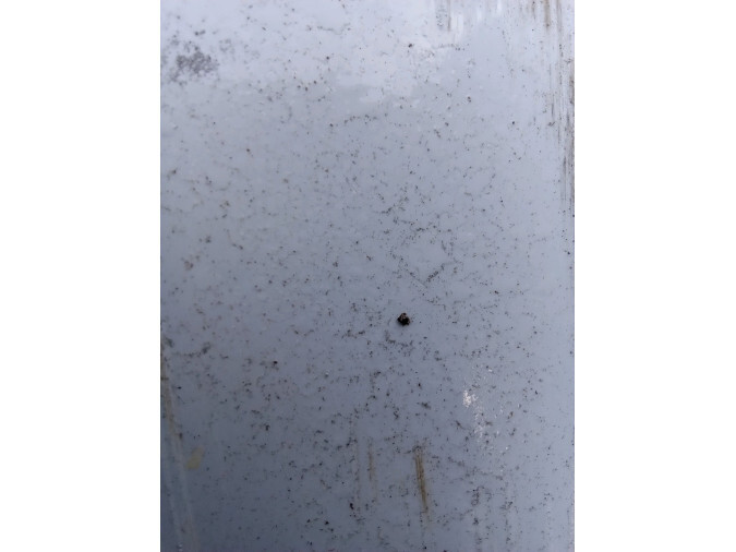 SILENCIOSO PREVIO KIA SPORTAGE 2014