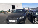 PORTON TRASERO AUDI Q7 2007