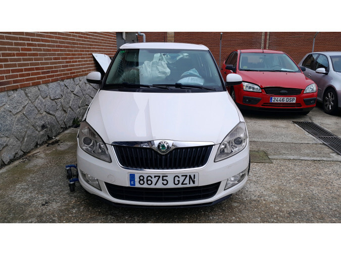 MANGUETA DELANTERA IZQUIERDA SKODA FABIA 2010