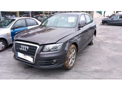 GUARDAPOLVOS AUDI Q5 2010
