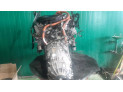 MOTOR ALIGERADO LEXUS GS 450H 2009