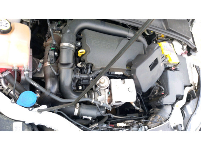 REFLECTOR TR.I. FORD FOCUS 2012