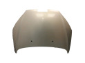 CAPOT PEUGEOT 407 CHAMPAGNE 2005